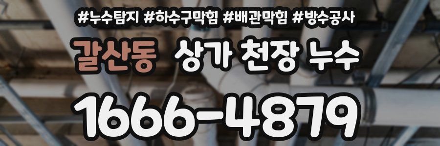 갈산동 상가 천장 누수