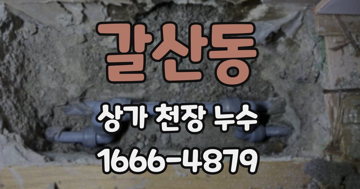 갈산동 상가 천장 누수