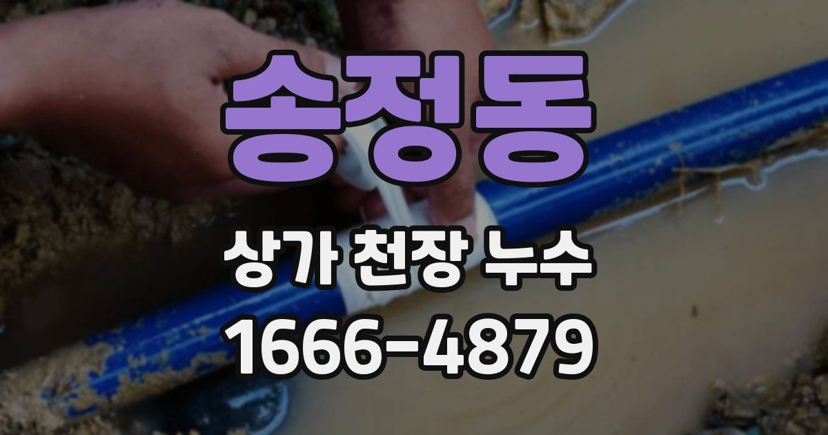 송정동 상가 천장 누수