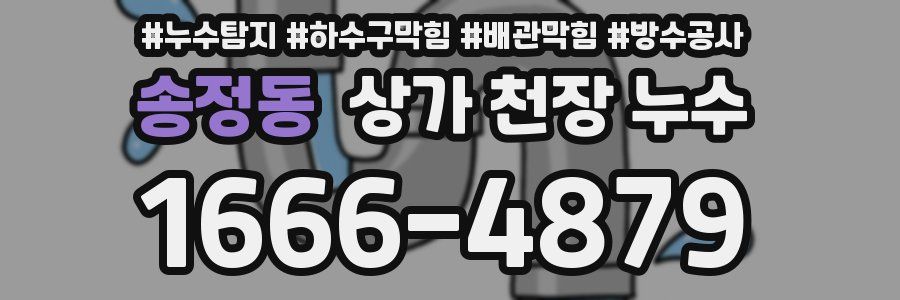 송정동 상가 천장 누수