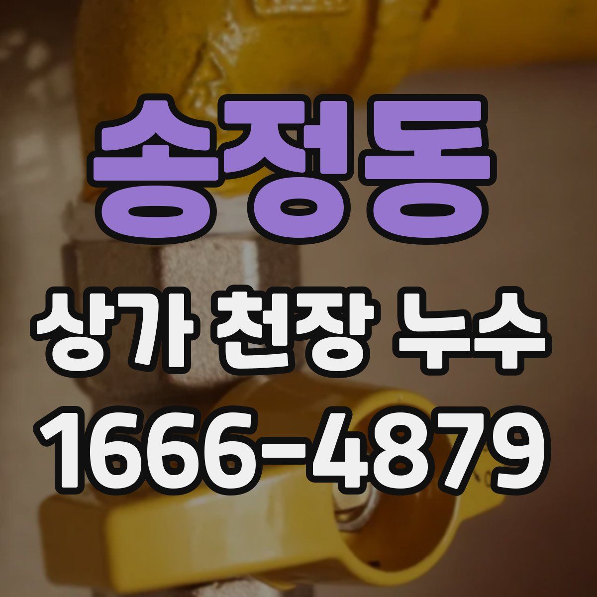 송정동 상가 천장 누수