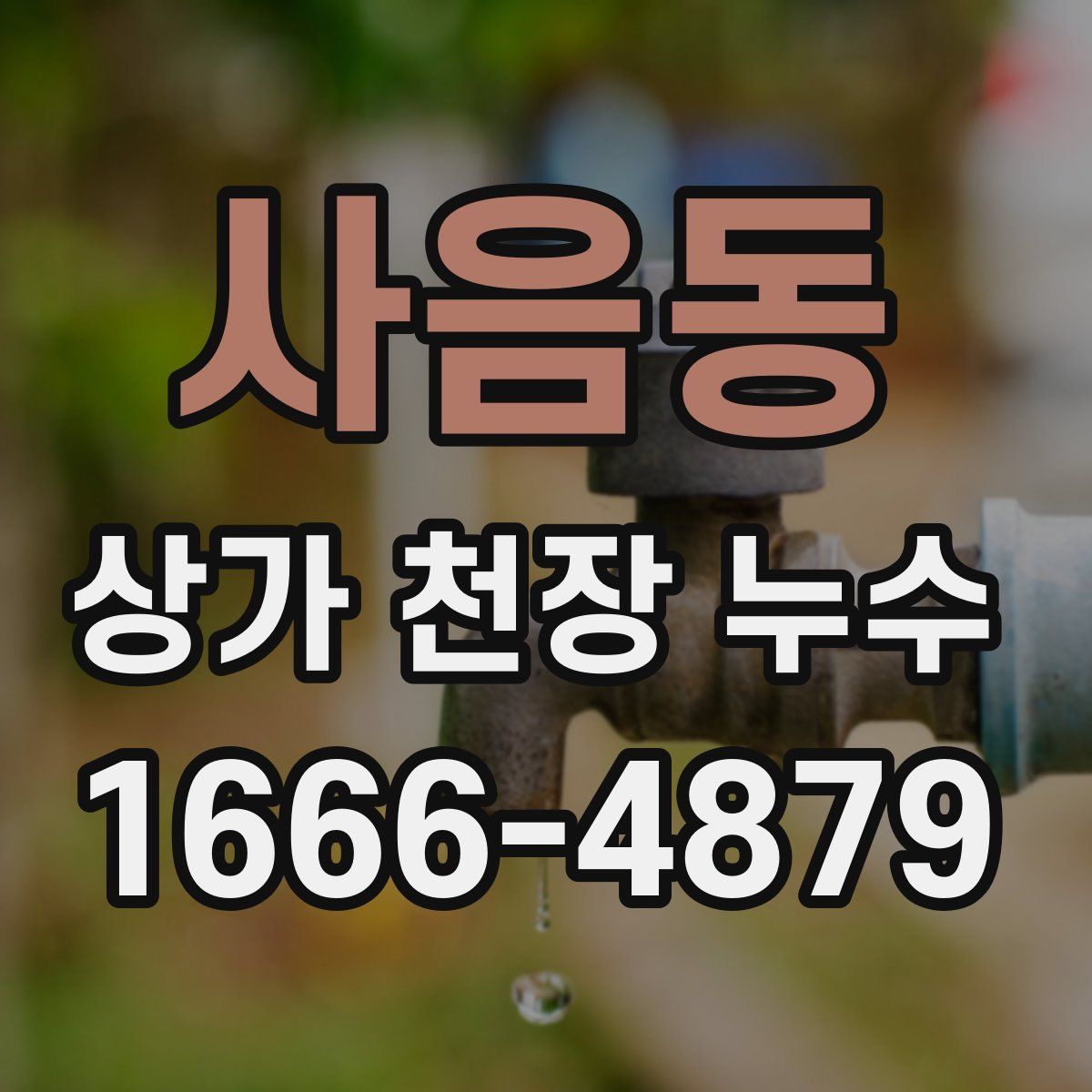 사음동 상가 천장 누수