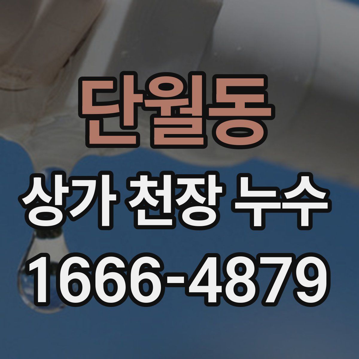 단월동 상가 천장 누수
