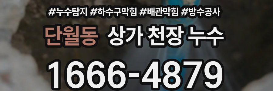 단월동 상가 천장 누수
