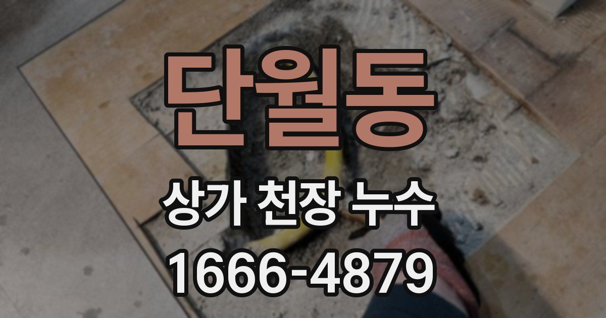 단월동 상가 천장 누수