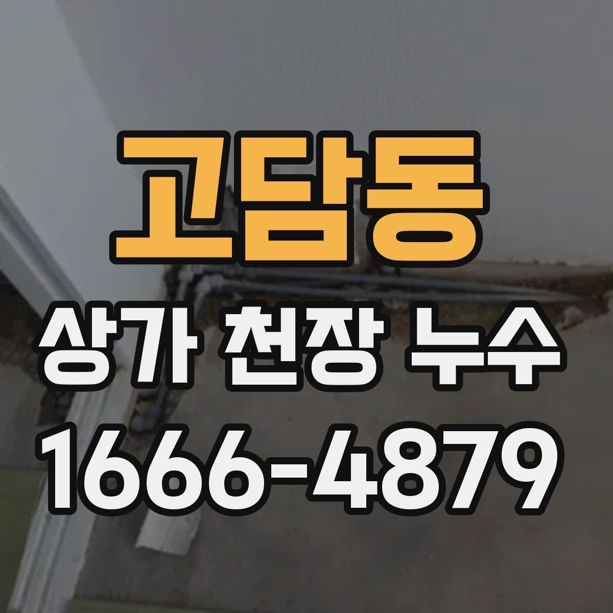 고담동 상가 천장 누수