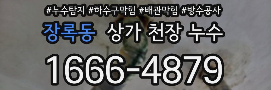 장록동 상가 천장 누수