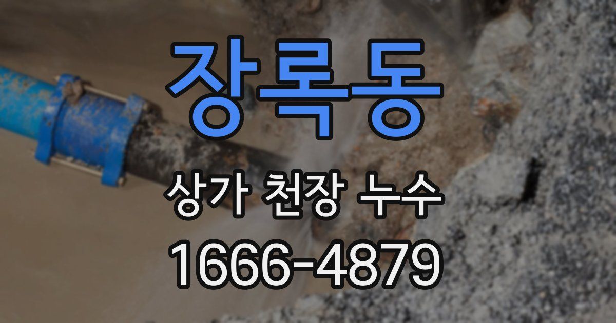 장록동 상가 천장 누수