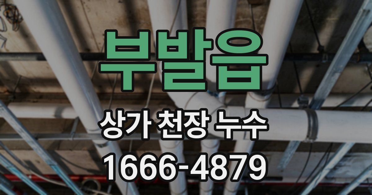 부발읍 상가 천장 누수