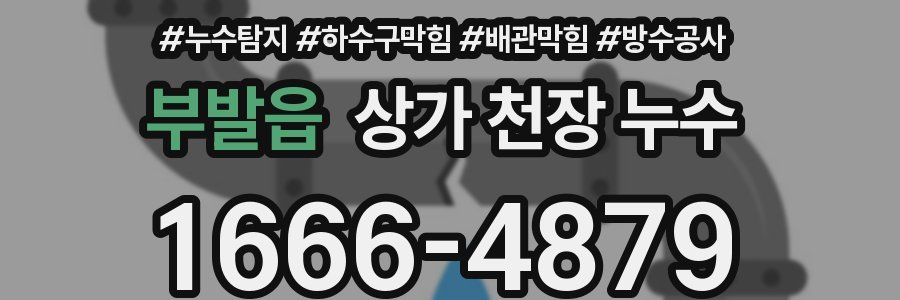 부발읍 상가 천장 누수