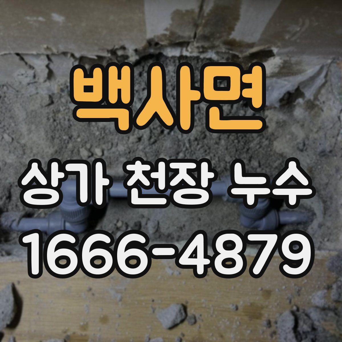 백사면 상가 천장 누수