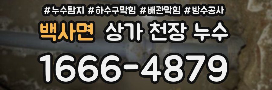 백사면 상가 천장 누수