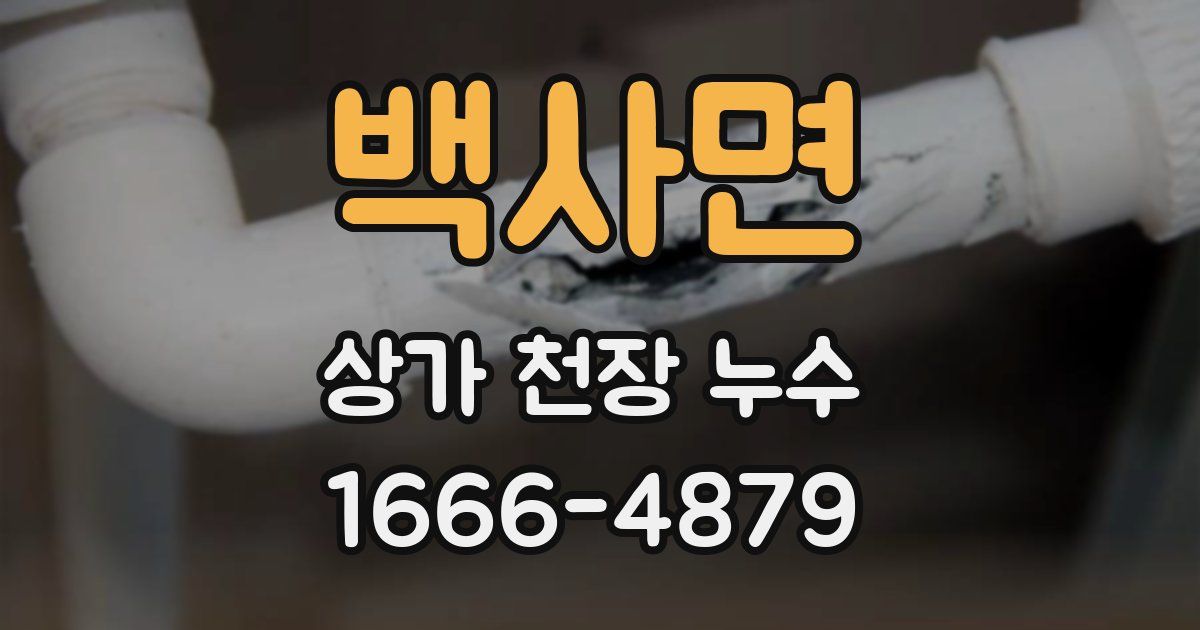 백사면 상가 천장 누수