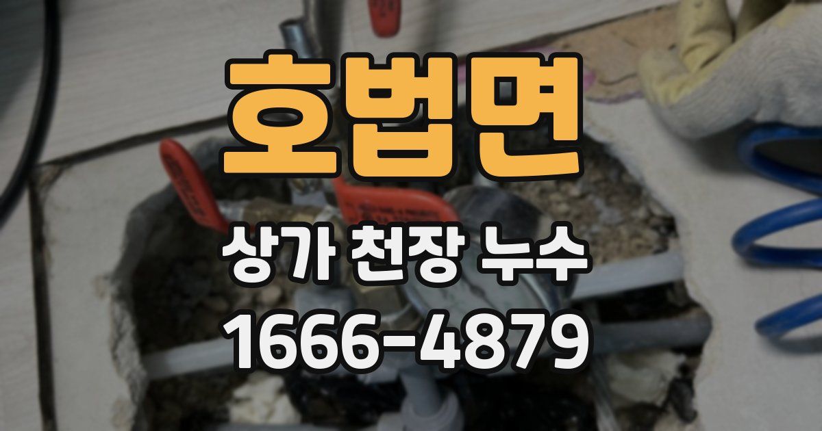 호법면 상가 천장 누수