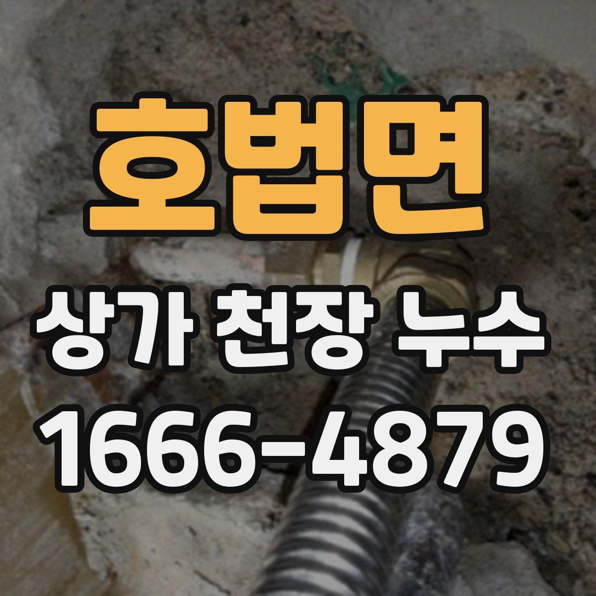 호법면 상가 천장 누수