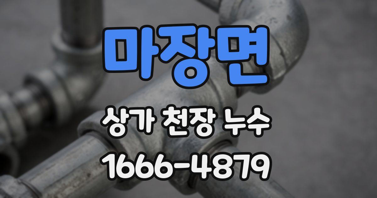 마장면 상가 천장 누수