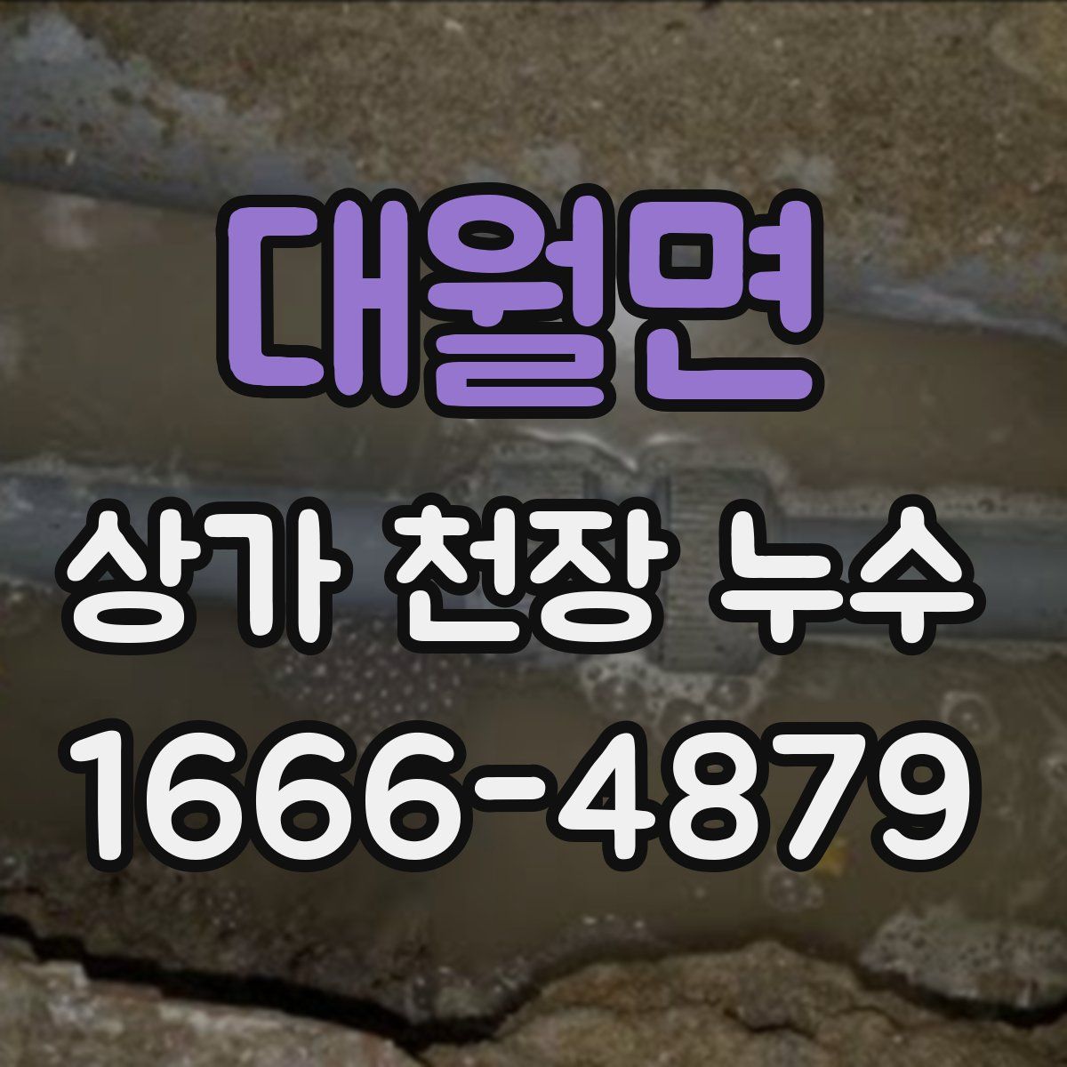 대월면 상가 천장 누수
