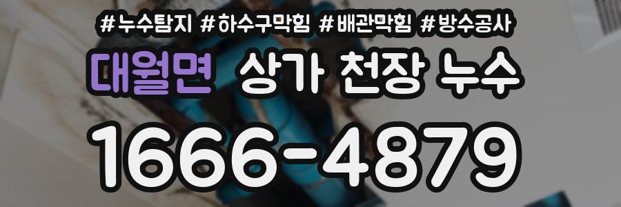 대월면 상가 천장 누수
