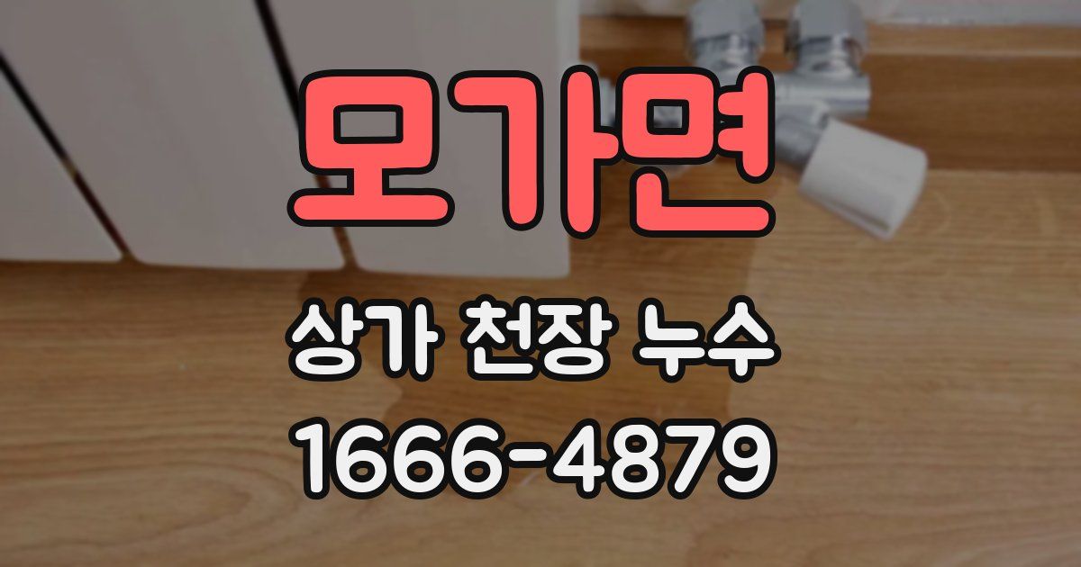 모가면 상가 천장 누수