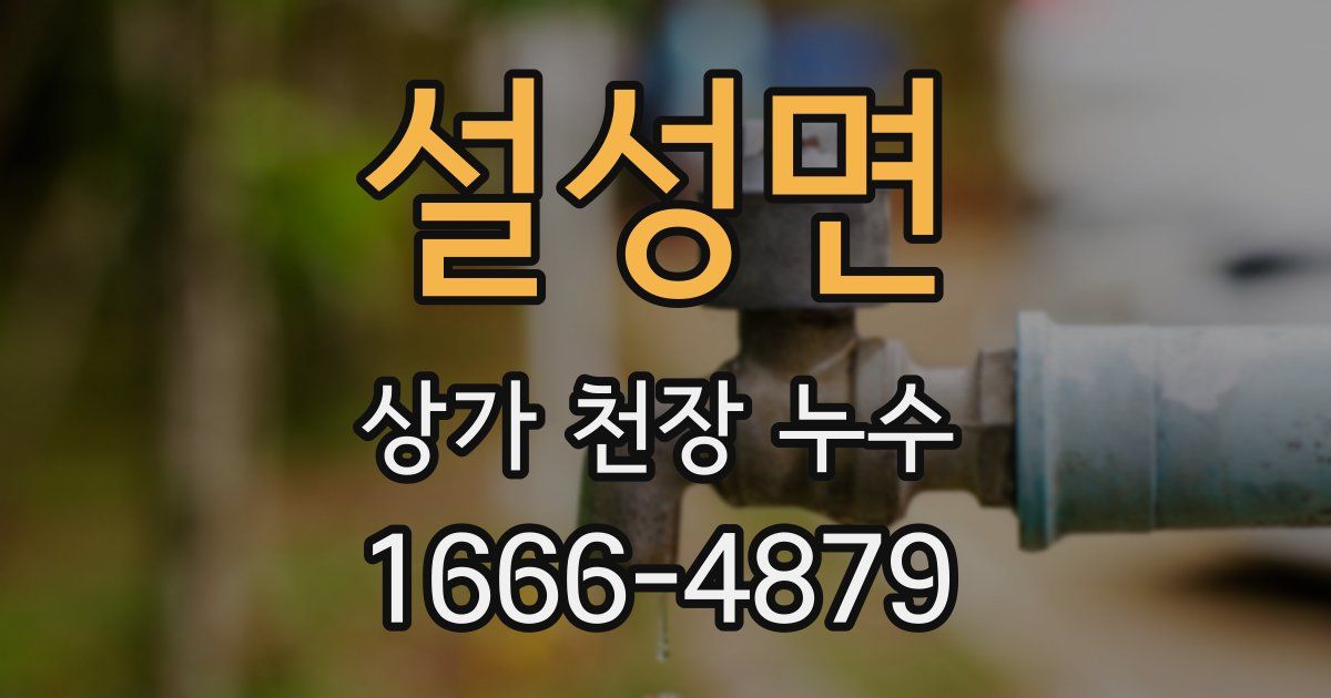 설성면 상가 천장 누수
