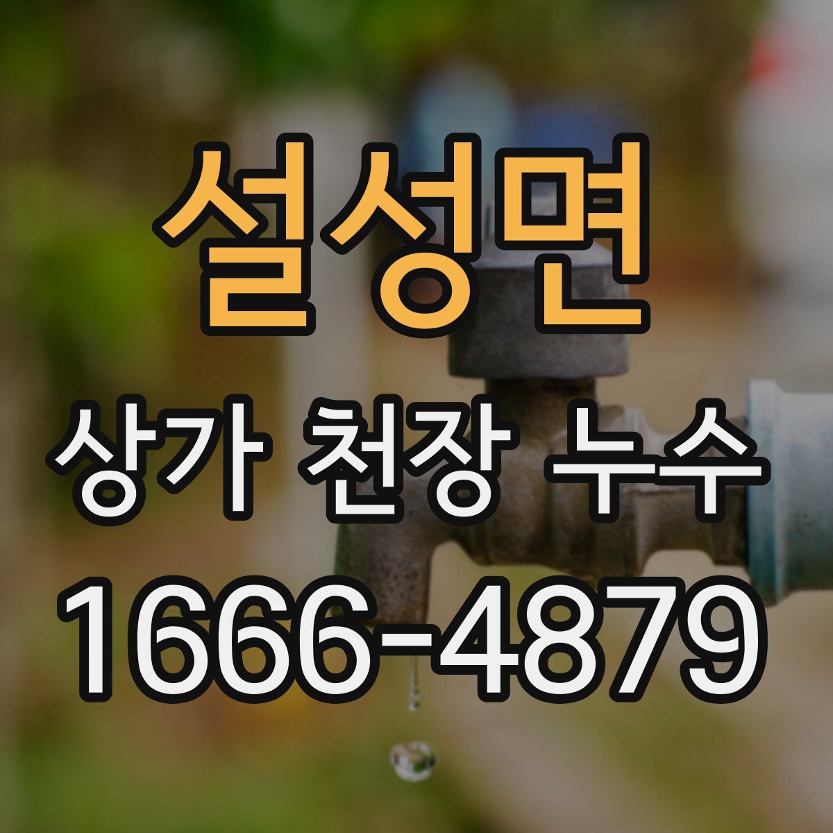 설성면 상가 천장 누수