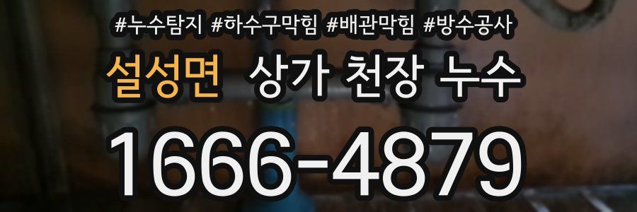 설성면 상가 천장 누수
