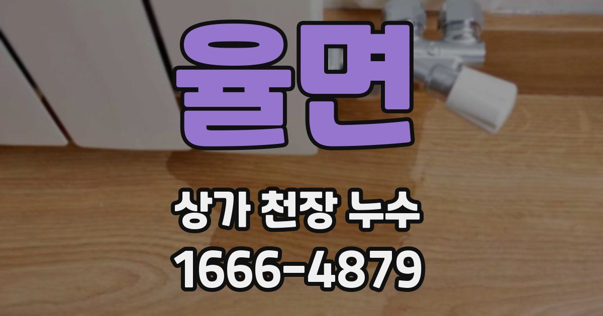 율면 상가 천장 누수