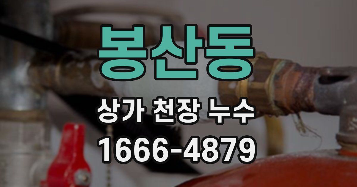 봉산동 상가 천장 누수