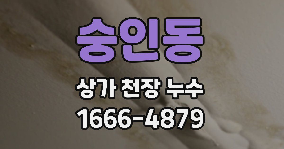 숭인동 상가 천장 누수