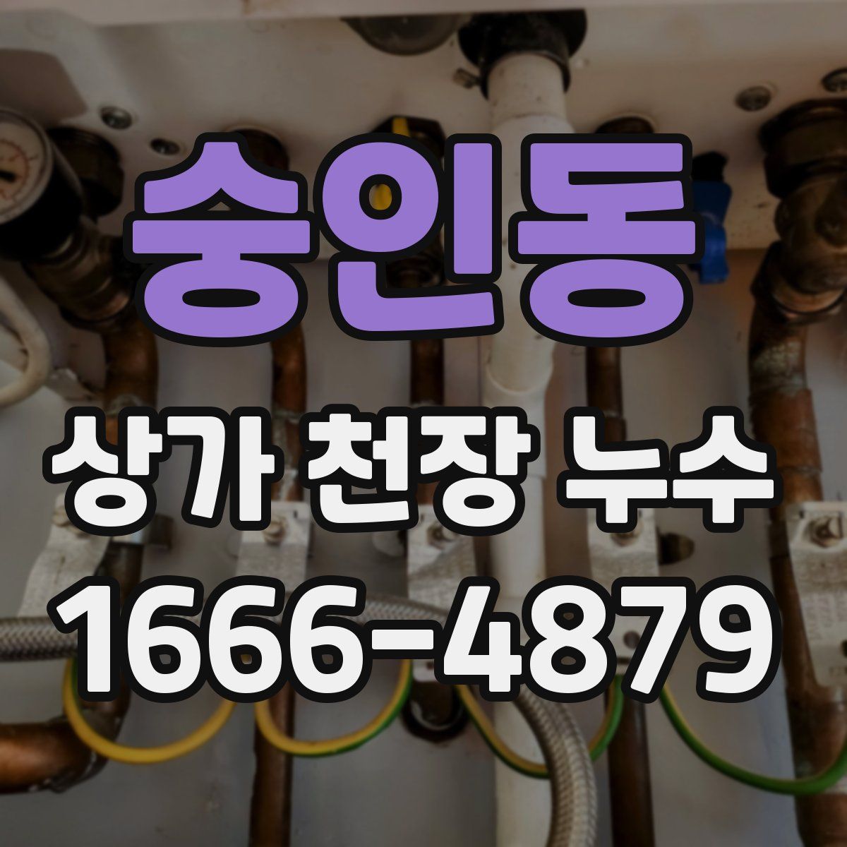숭인동 상가 천장 누수