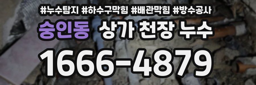 숭인동 상가 천장 누수