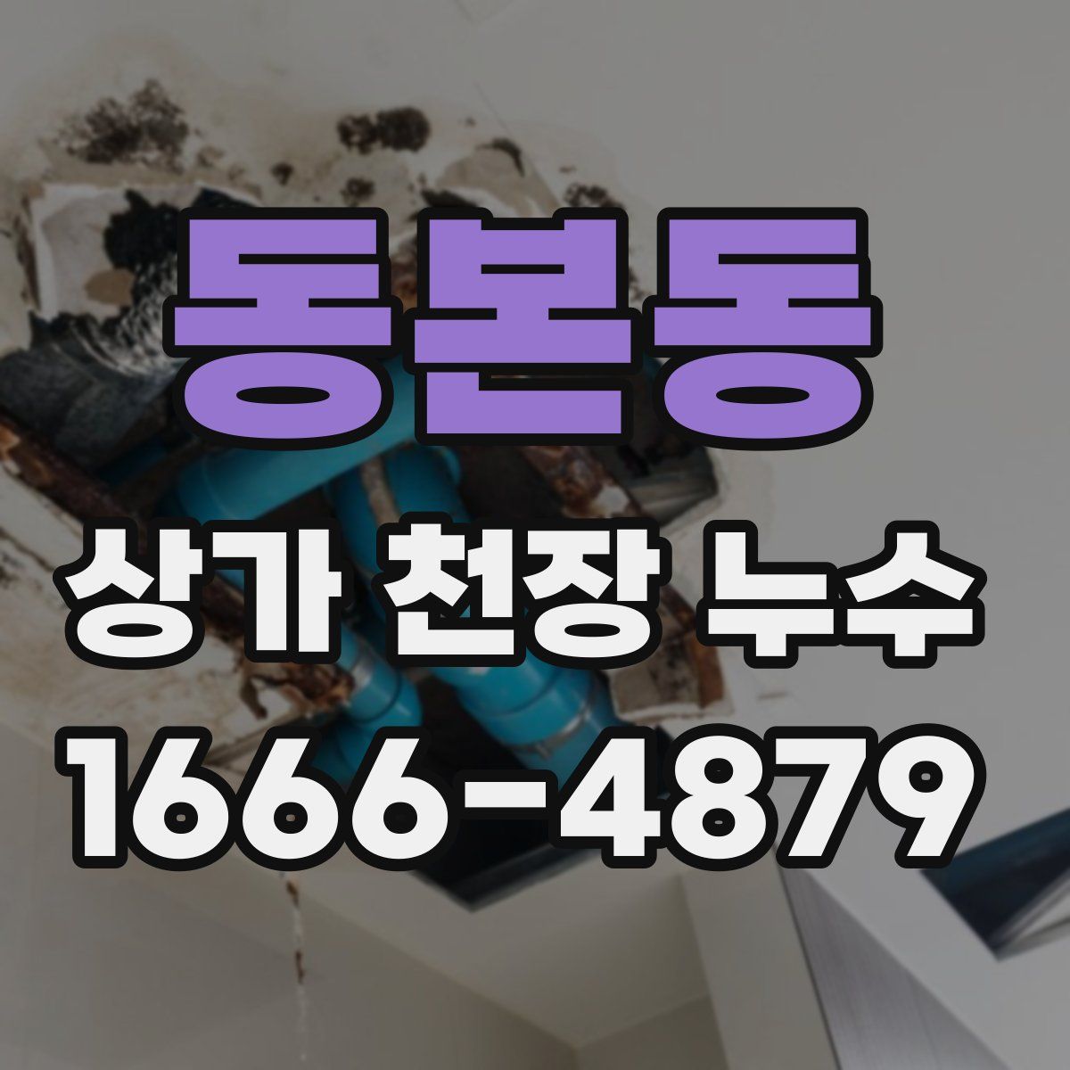 동본동 상가 천장 누수