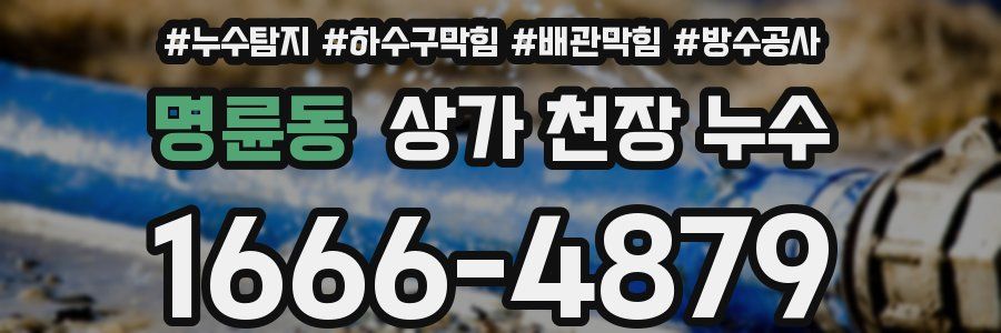 명륜동 상가 천장 누수