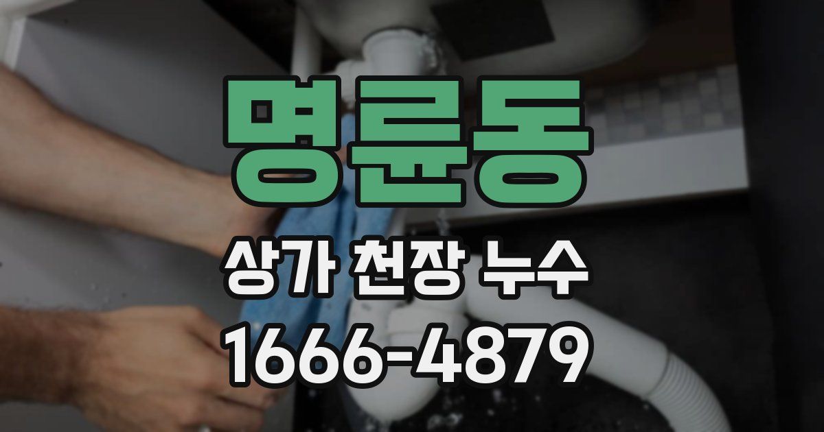 명륜동 상가 천장 누수