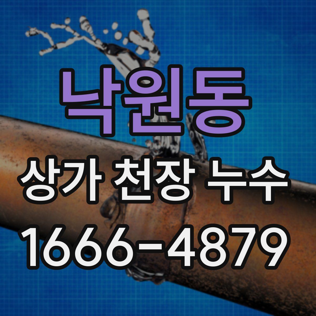 낙원동 상가 천장 누수