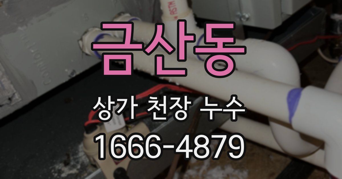 금산동 상가 천장 누수