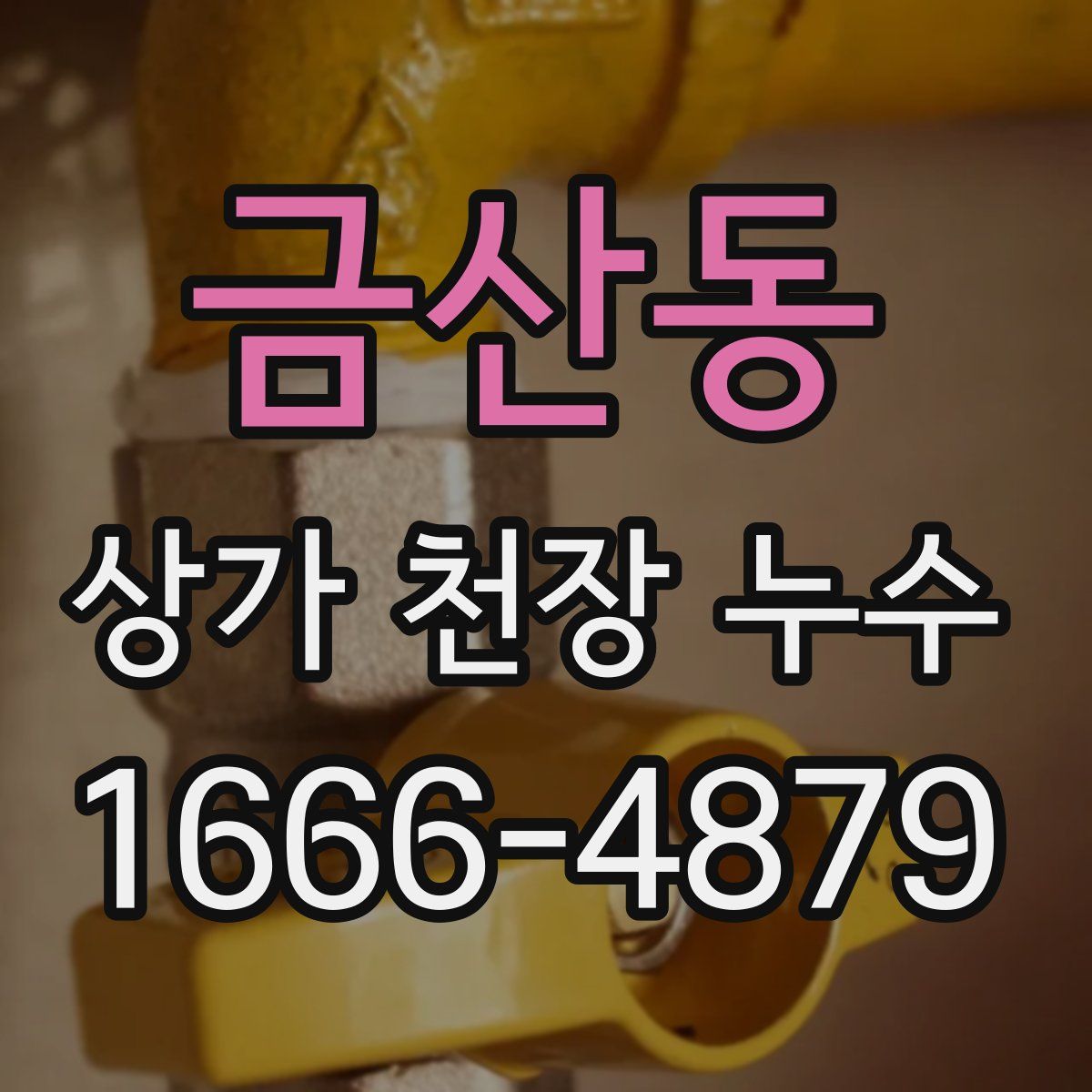 금산동 상가 천장 누수