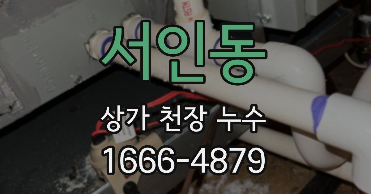 서인동 상가 천장 누수