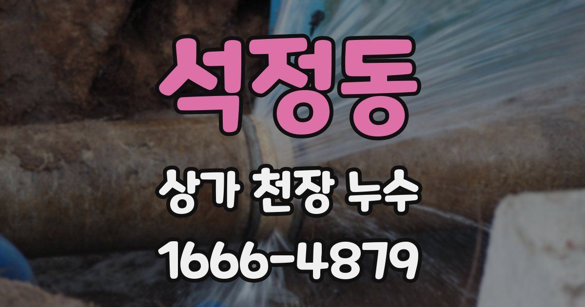석정동 상가 천장 누수