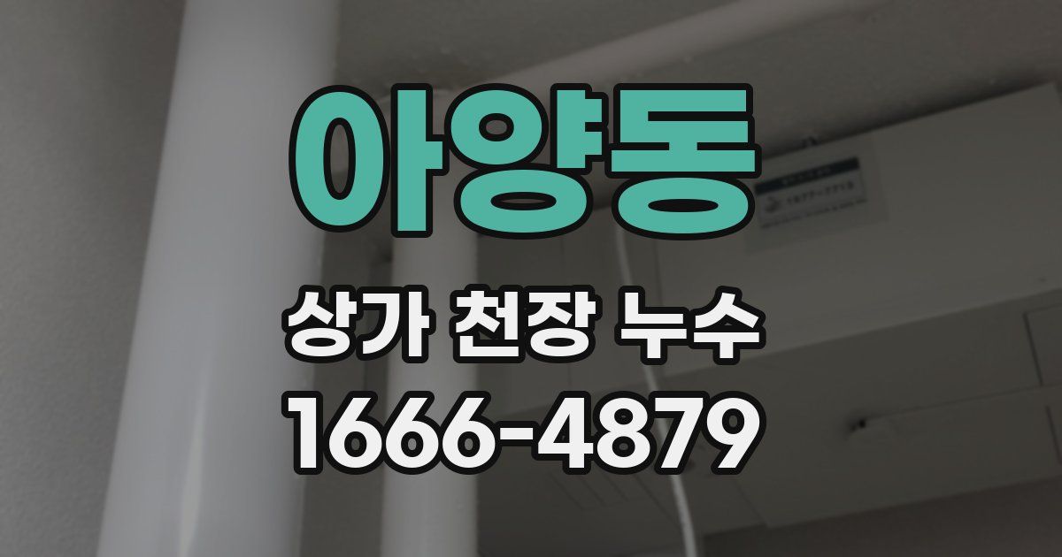 아양동 상가 천장 누수