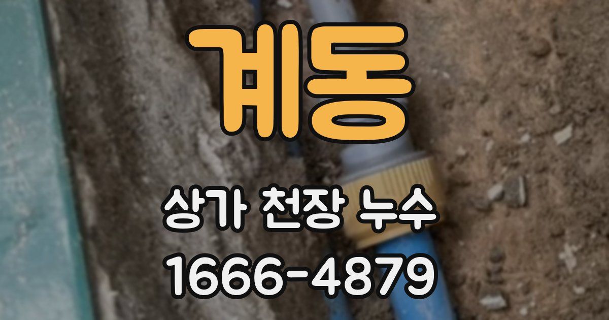 계동 상가 천장 누수