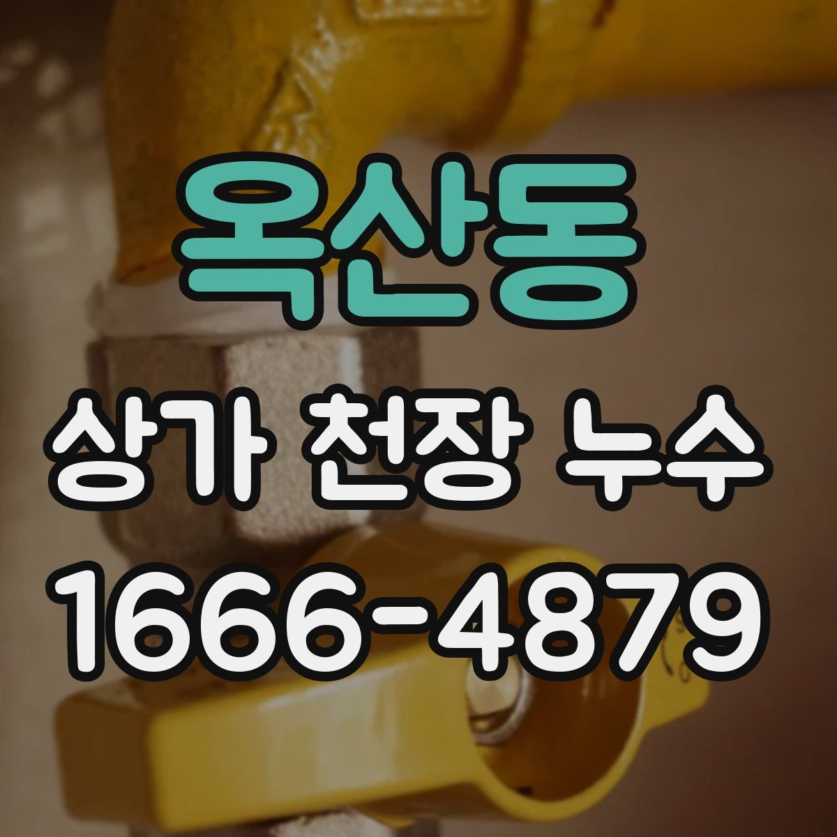 옥산동 상가 천장 누수