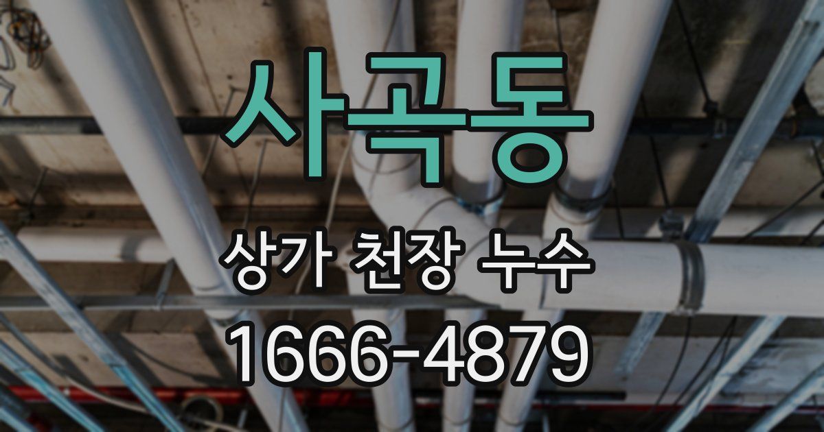 사곡동 상가 천장 누수