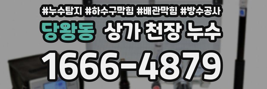 당왕동 상가 천장 누수
