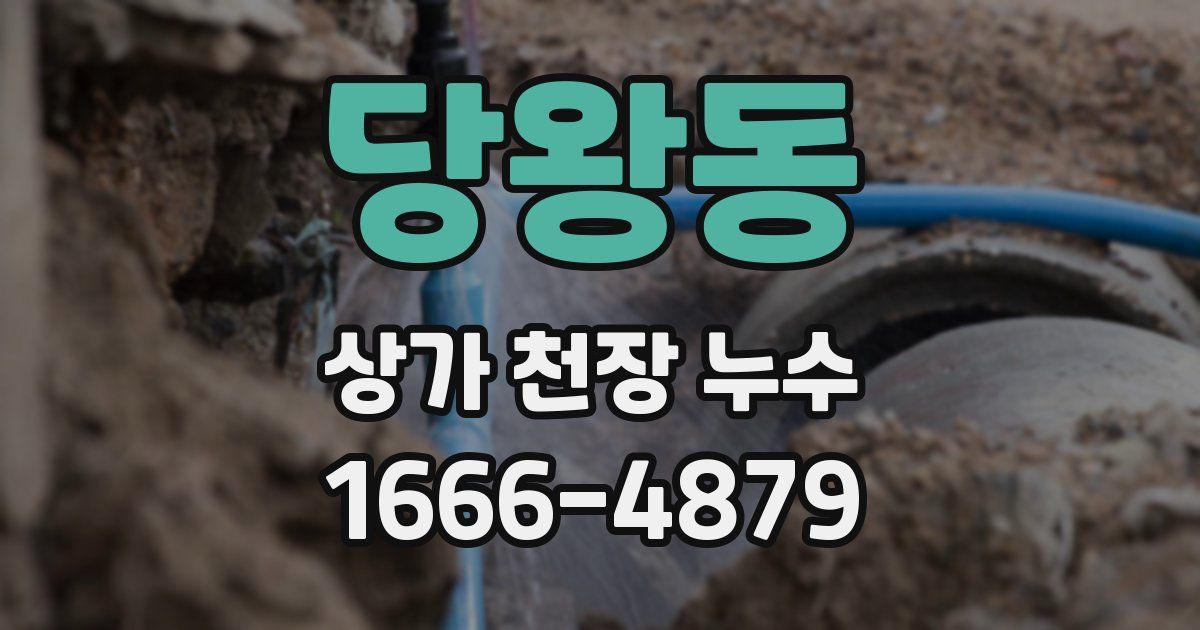 당왕동 상가 천장 누수