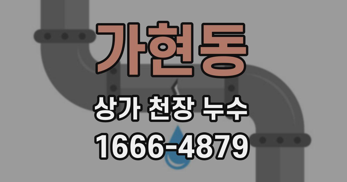 가현동 상가 천장 누수
