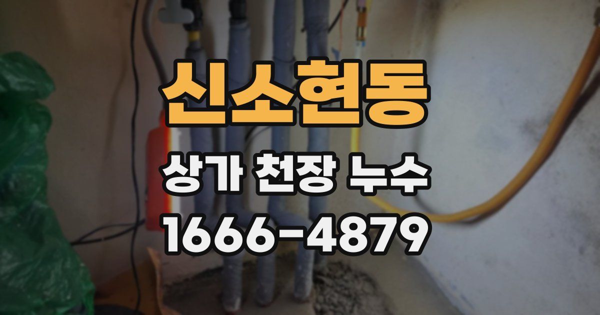 신소현동 상가 천장 누수