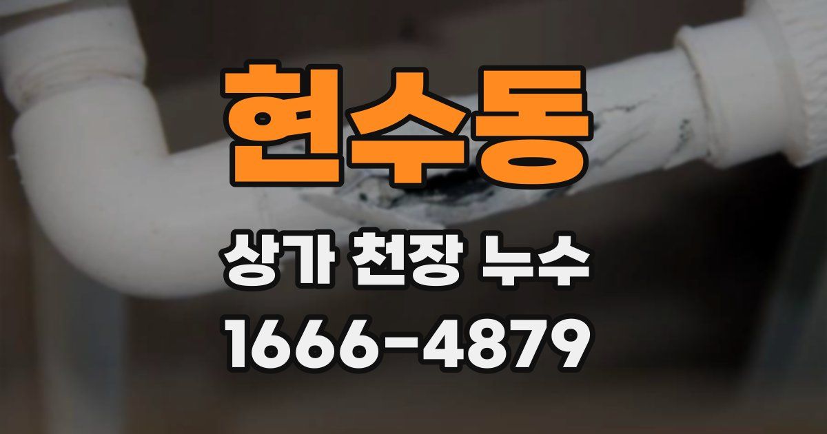 현수동 상가 천장 누수