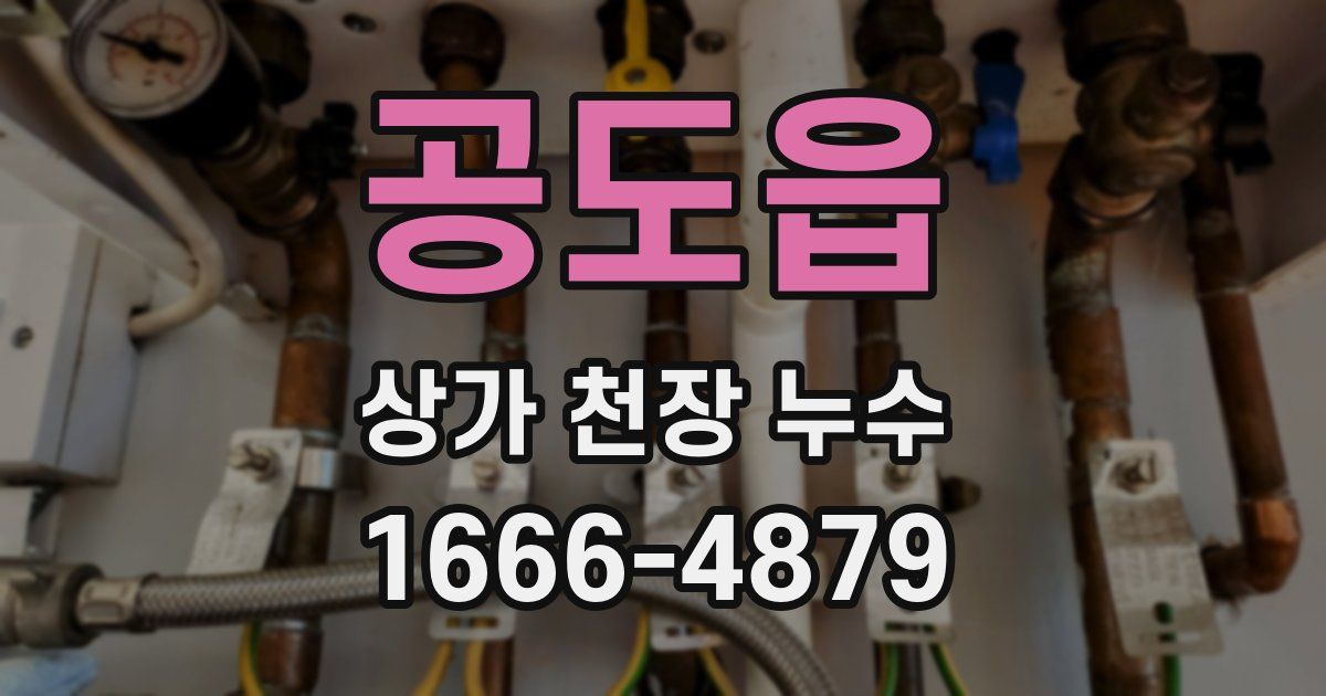 공도읍 상가 천장 누수