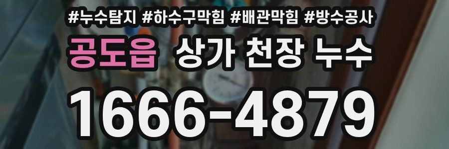 공도읍 상가 천장 누수